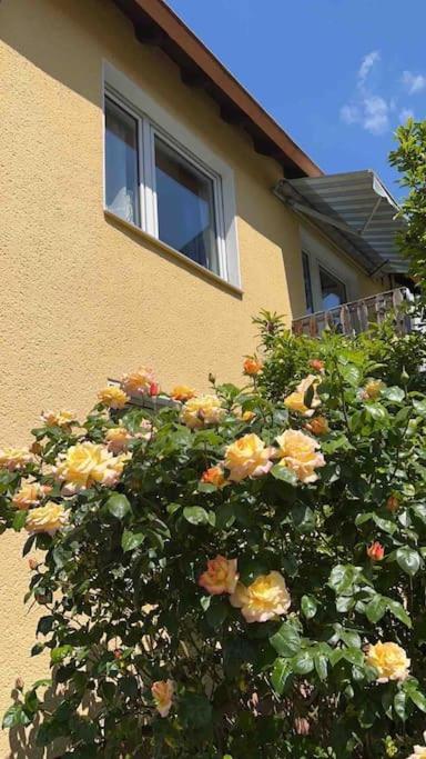Duesseldorf Messe And Airport, 2-Bedroom Apartment With Kitchen And Garden Duisbourg Extérieur photo