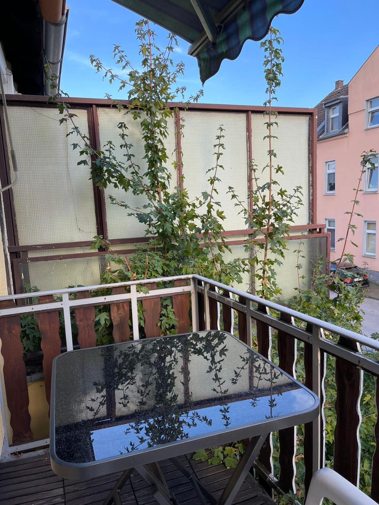 Duesseldorf Messe And Airport, 2-Bedroom Apartment With Kitchen And Garden Duisbourg Extérieur photo